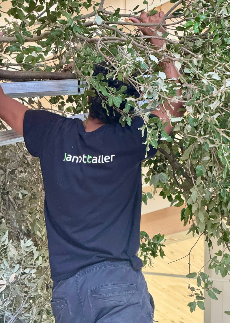 Equip de Janot Taller muntant una estructura vegetal